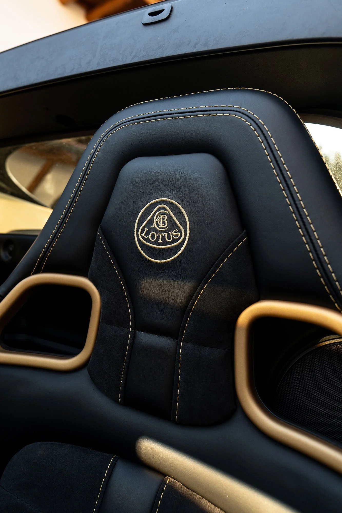 T2P_ELISA_ITALY_LOTUS-24.jpg