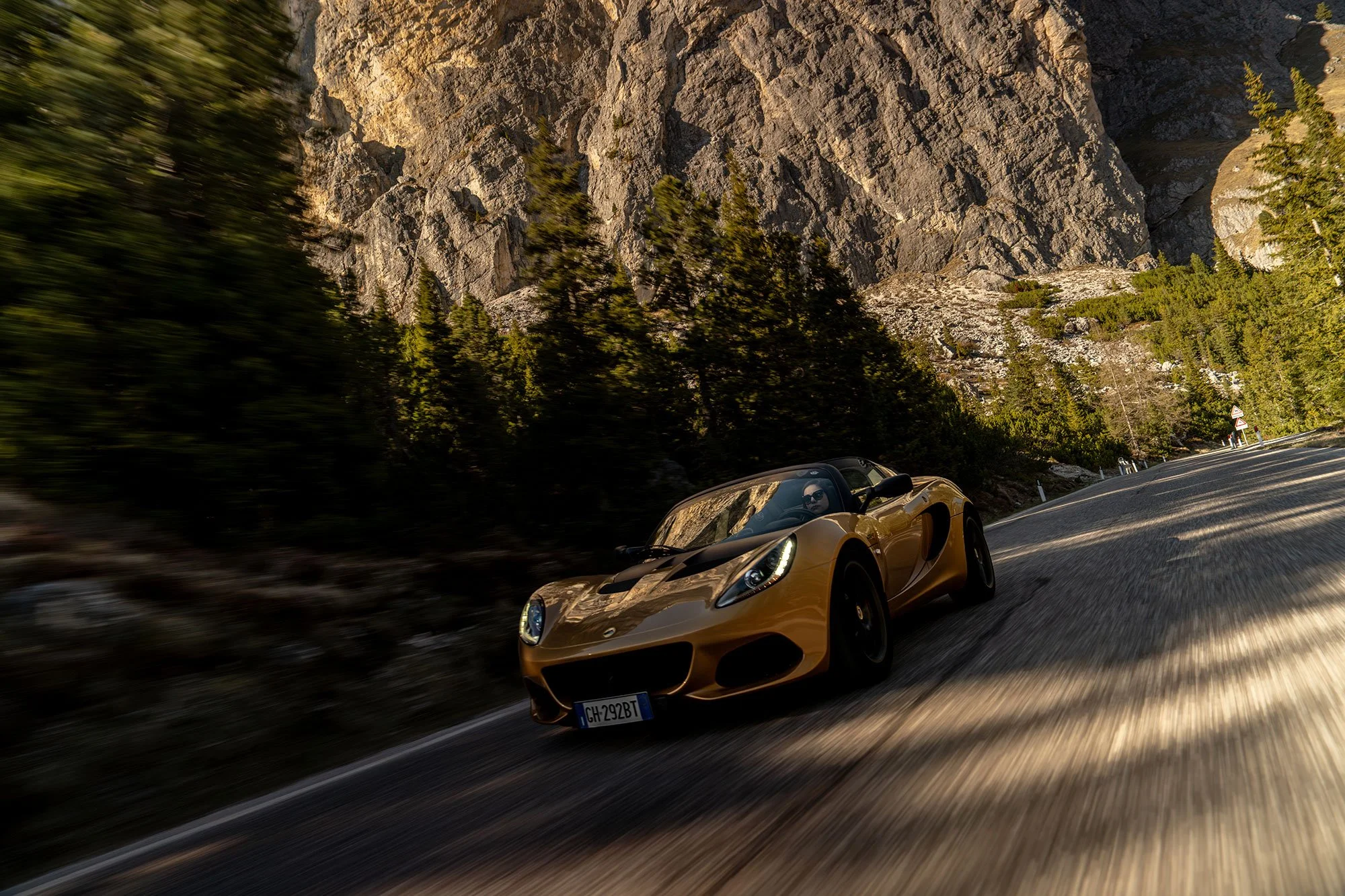 T2P_ELISA_ITALY_LOTUS-9.jpg