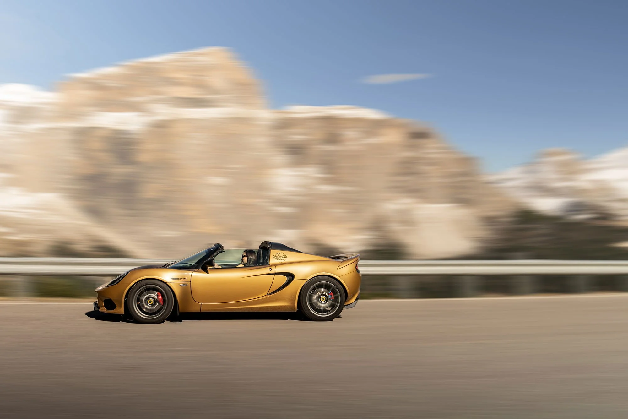 T2P_ELISA_ITALY_LOTUS-2.jpg