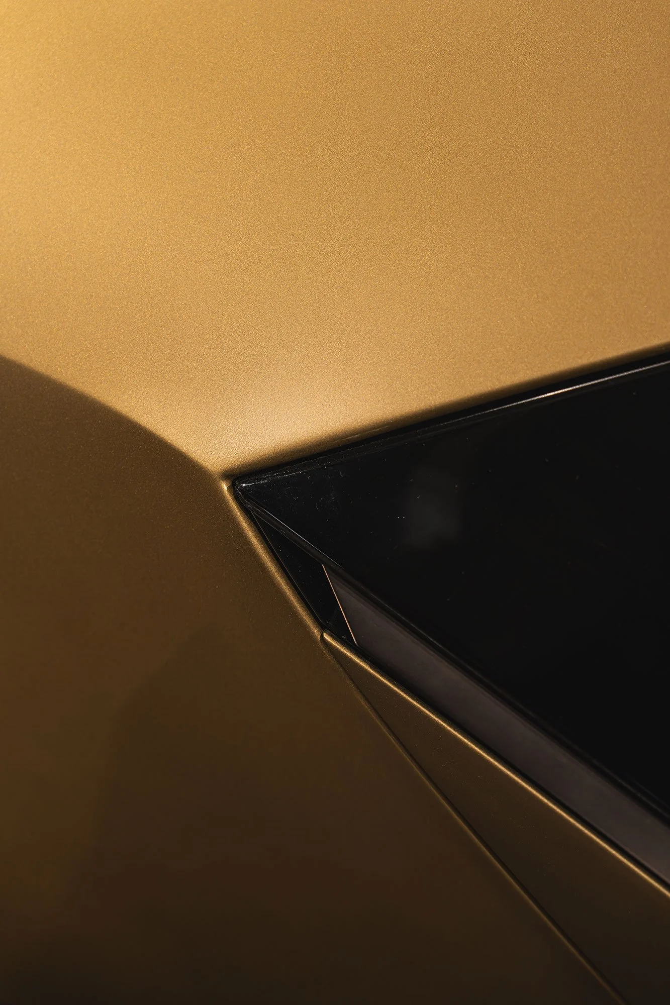 T2P_THEORY_1_ITALY_LOTUS-25.jpg