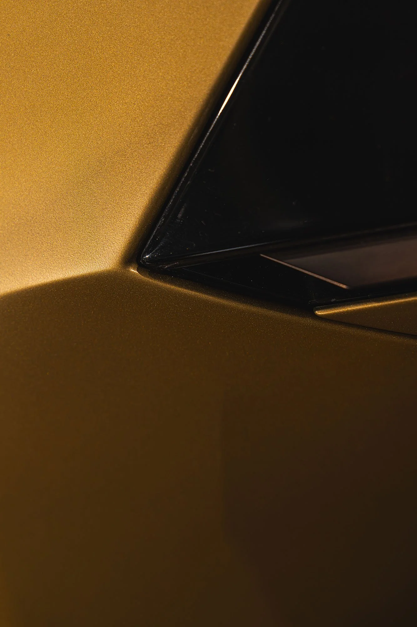 T2P_THEORY_1_ITALY_LOTUS-24.jpg
