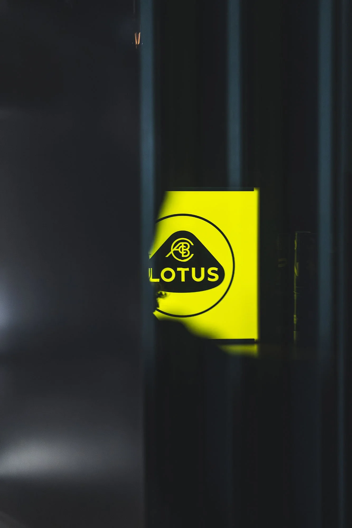 T2P_THEORY_1_ITALY_LOTUS-13.jpg