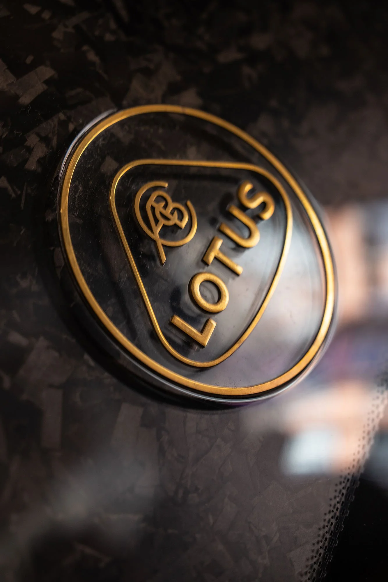 T2P_THEORY_1_ITALY_LOTUS-4.jpg