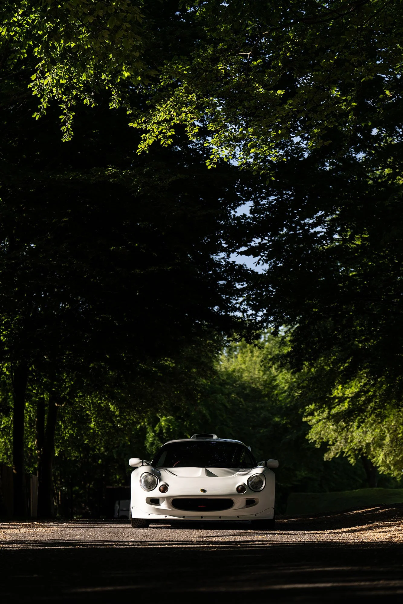 T2P_WHITE_EXIGE-1.jpg