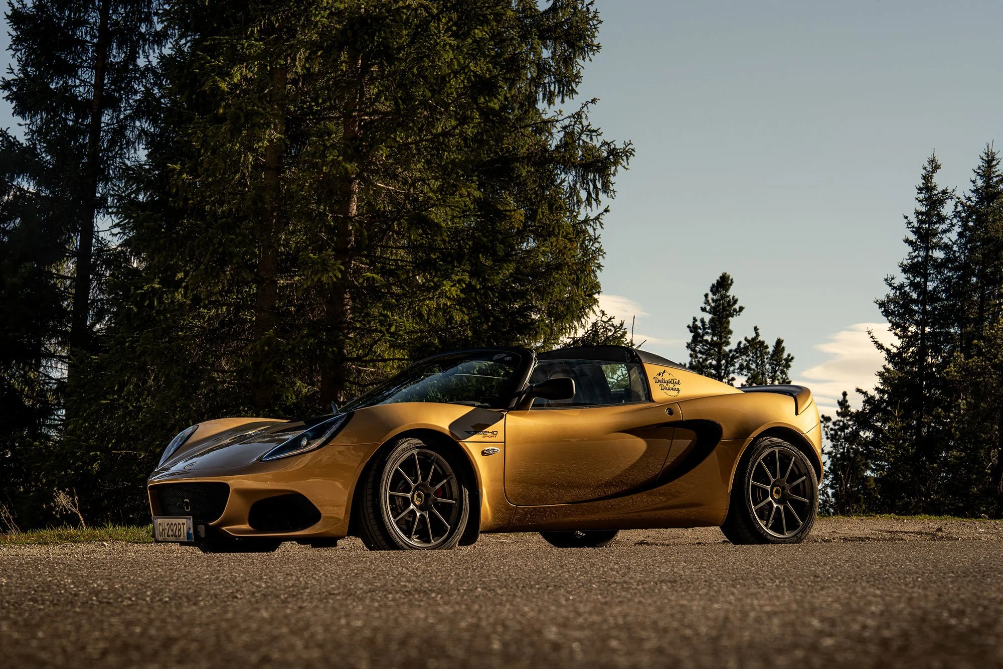 T2P_ELISA_ITALY_LOTUS-10.jpg