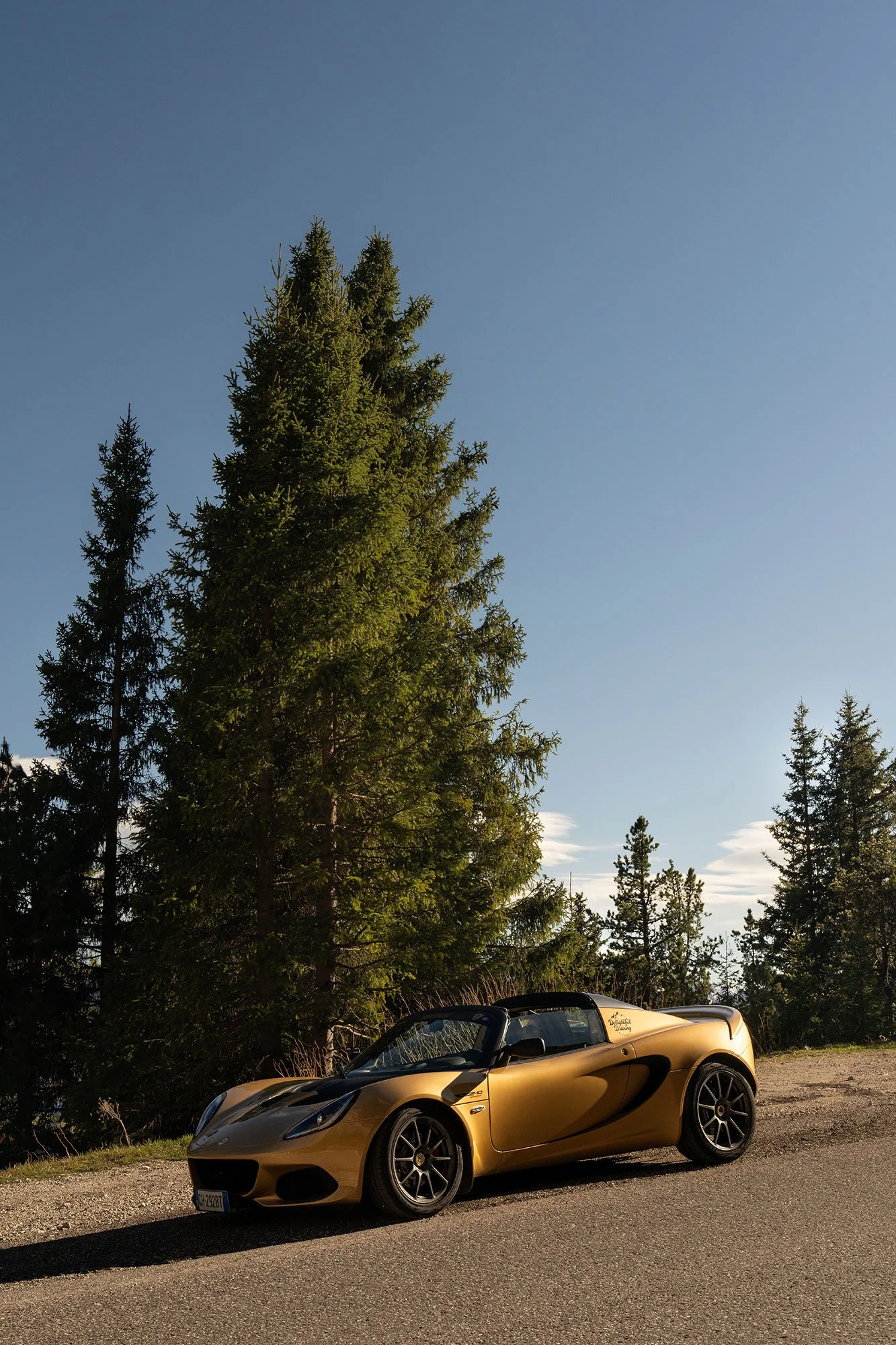 T2P_ELISA_ITALY_LOTUS-20.jpg
