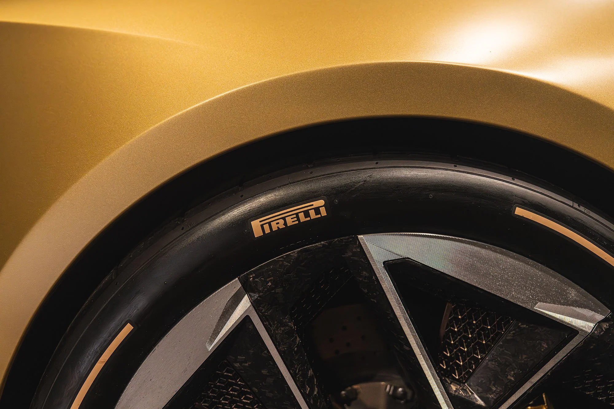 T2P_THEORY_1_ITALY_LOTUS-16.jpg