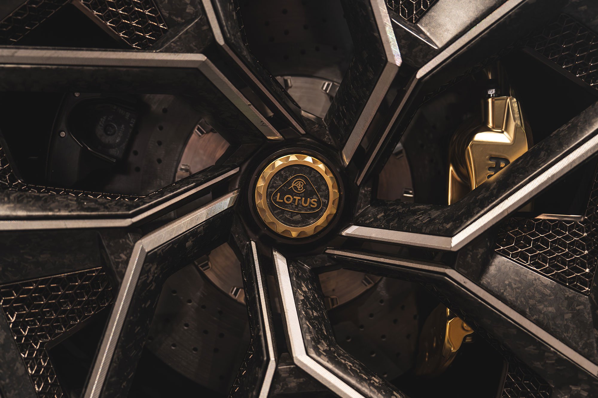 T2P_THEORY_1_ITALY_LOTUS-22.jpg