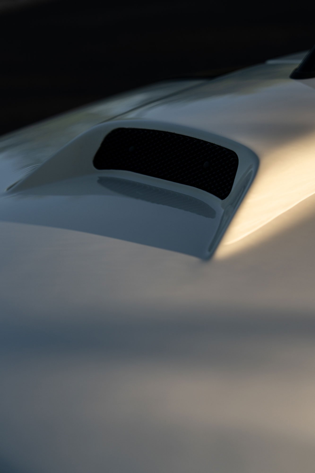 T2P_WHITE_EXIGE-8.jpg
