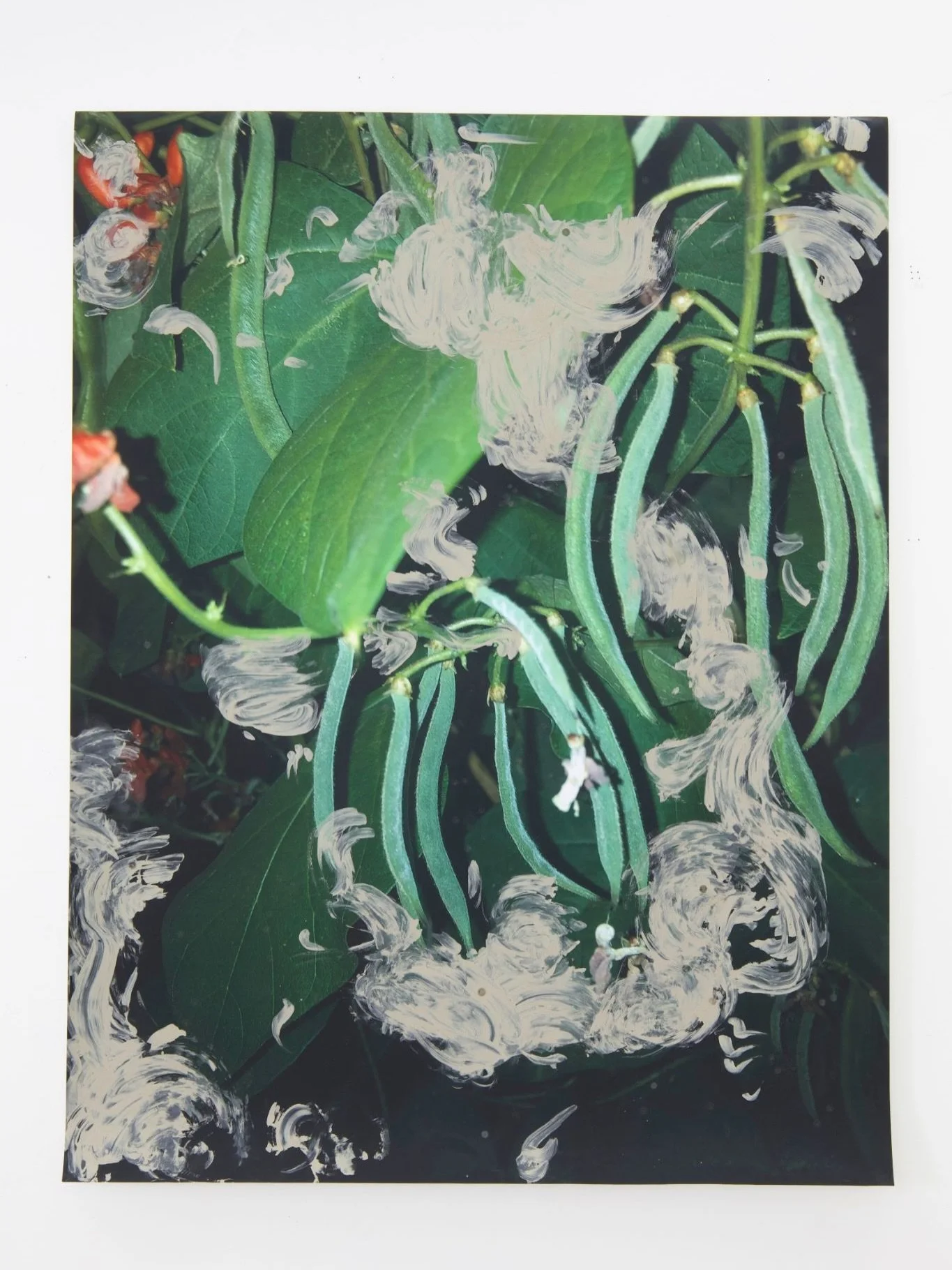 17B INCUBATOR ARTIST | KP Culver

Chisenhale Studios is pleased to announce KP Culver as one of our 2026&ndash;27 17B Incubator residents.

KP Culver is an interdisciplinary artist driven by curiosity, instead of seeking definitive answers, they crea