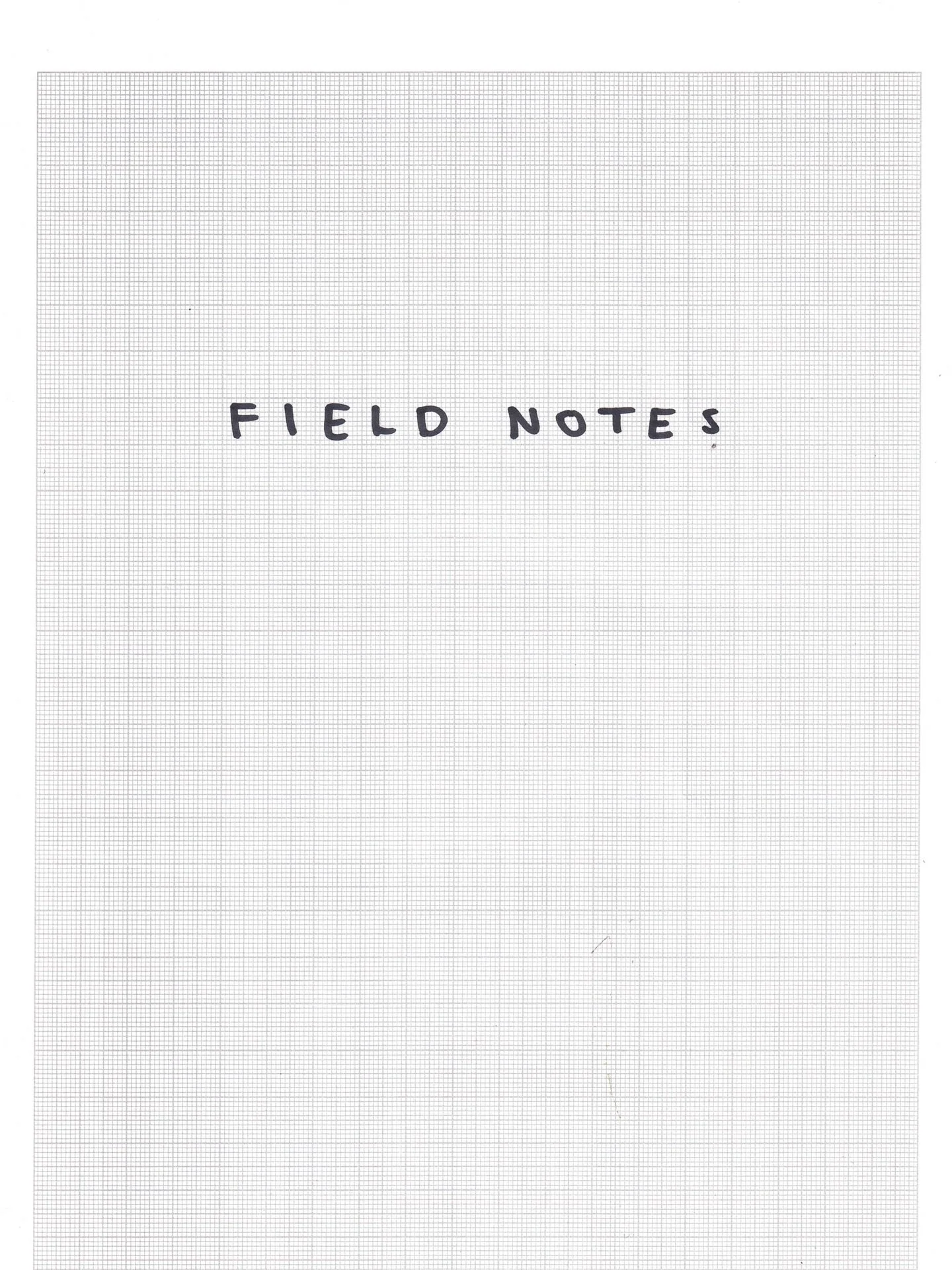 Field Notes 

A Chisenhale Studios initiative supporting early-stage curatorial practice, offering emerging curators the opportunity to develop artist-led exhibitions through studio engagement, collaboration, and diverse approaches to contemporary ar