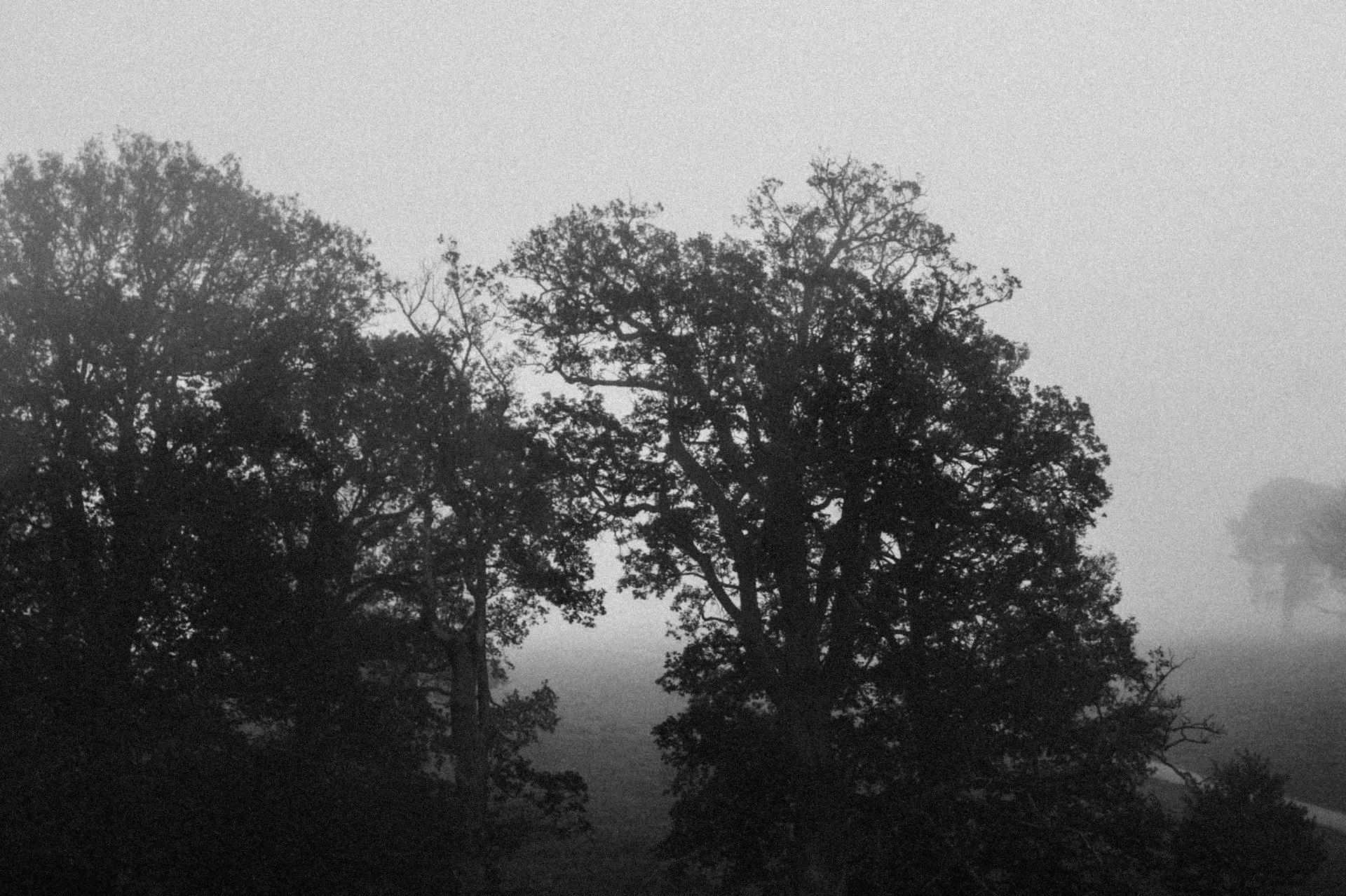 Most Haunted: The South of England