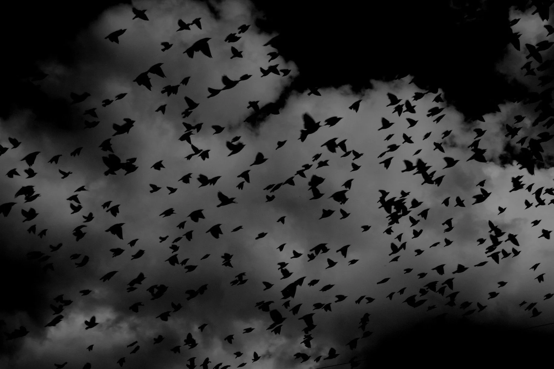 The best horror series on Netflix