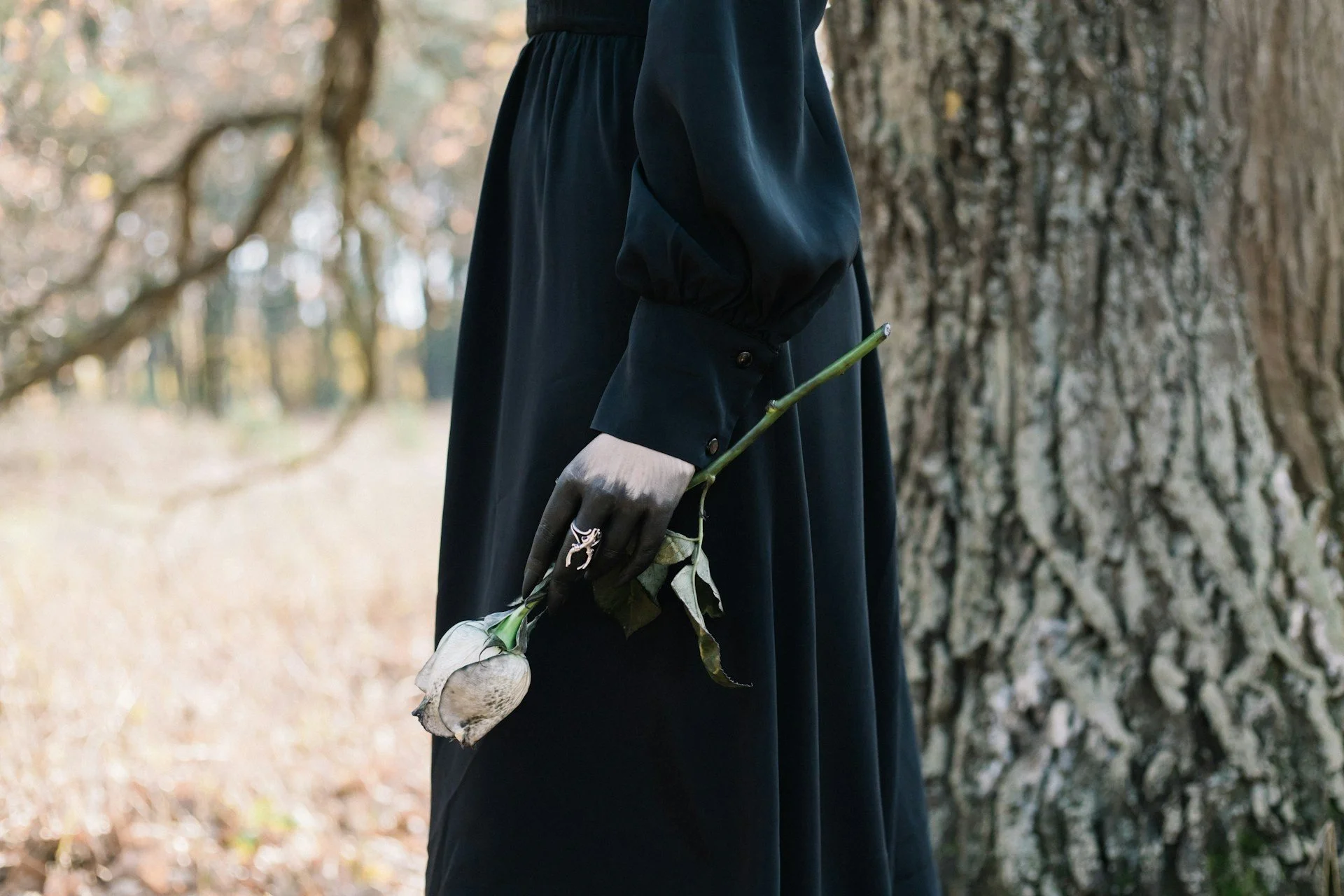 Five Women Writing the Gothic