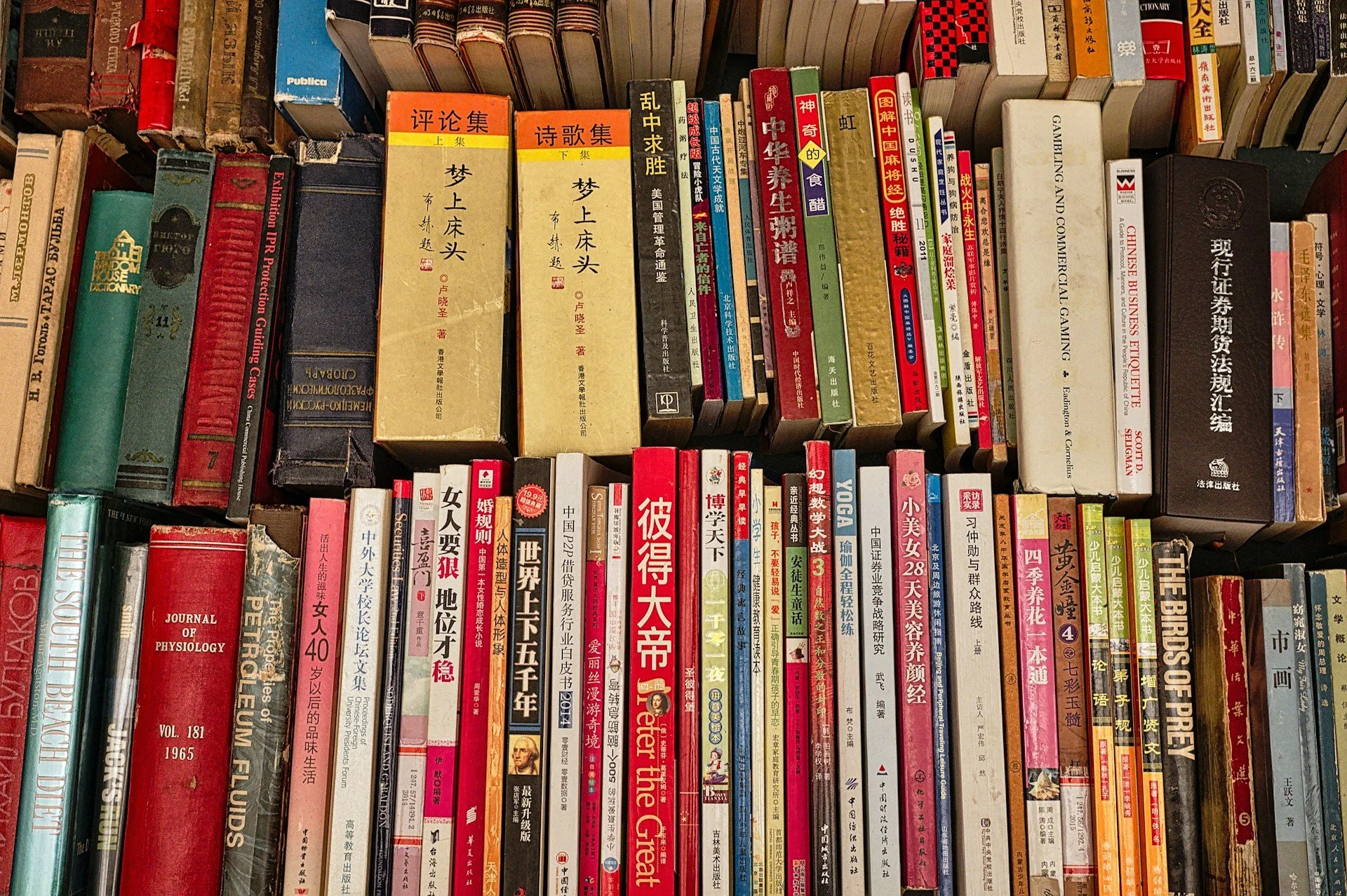 My Language Learning Odyssey
