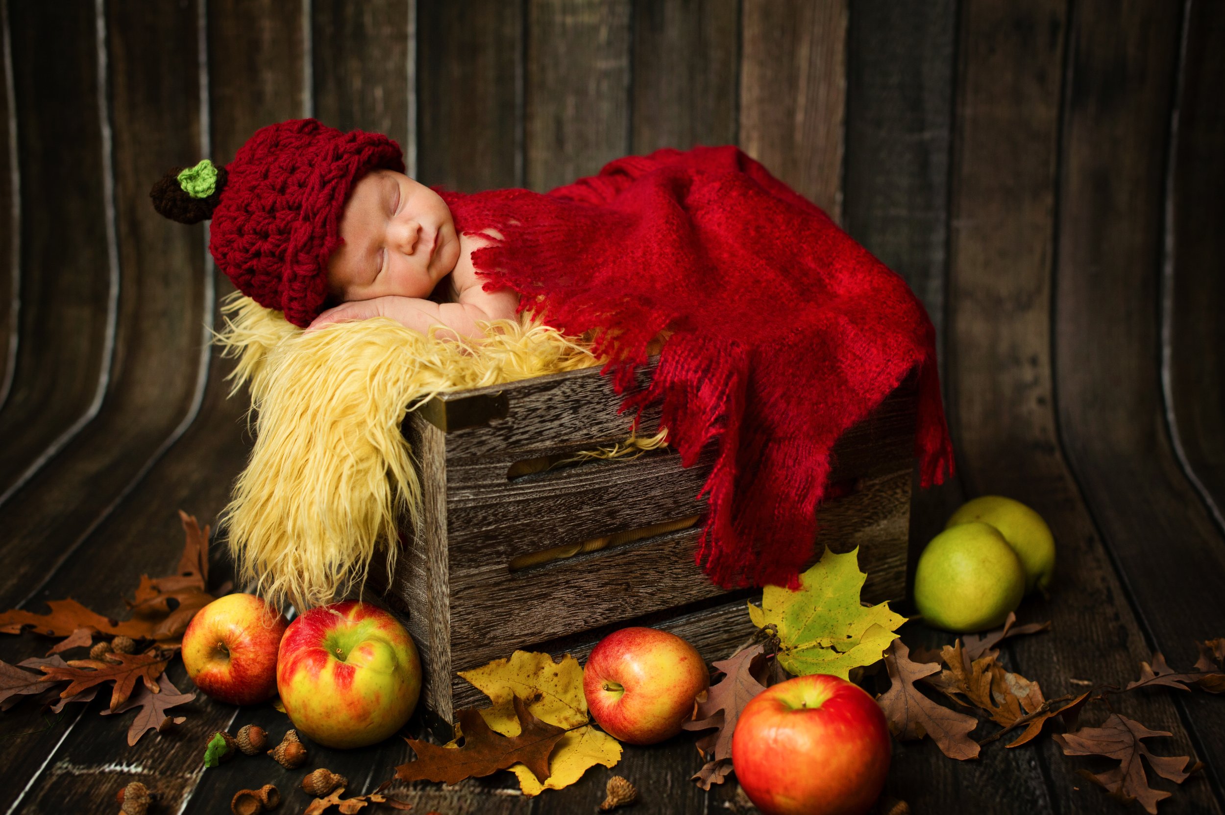Sleeping baby in rustic setting with red knit hat and blanket, surrounded by apples and fall leaves.