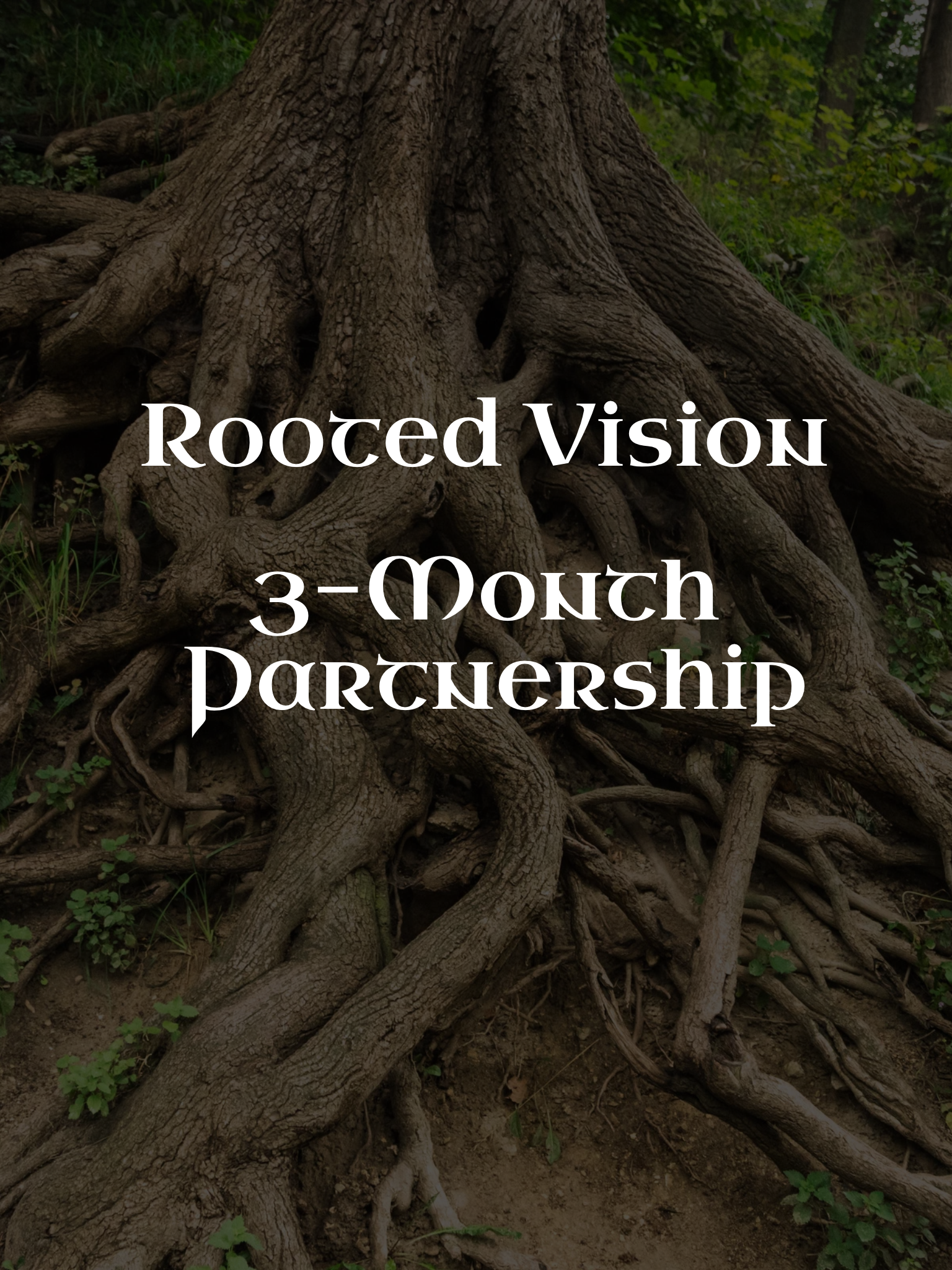 Rooted Vision Partnership