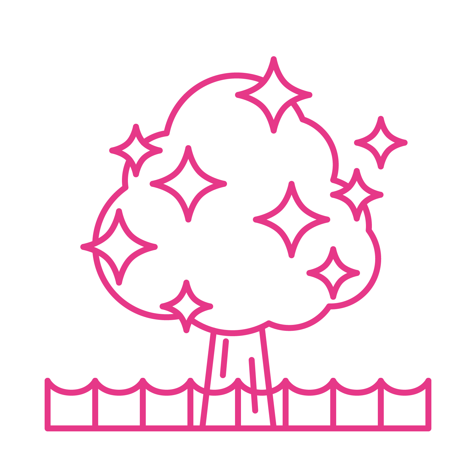 enhance icon