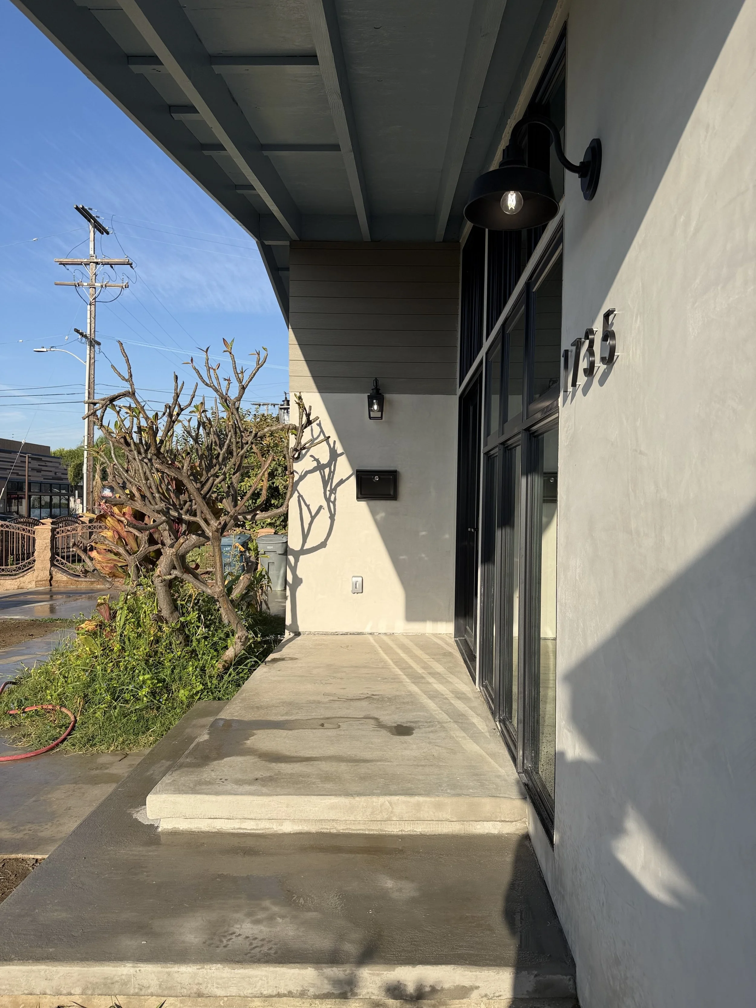 Front porch of a modern house with black metal and glass door, house number 1359, with a small light fixture above, a mailbox, shrubbery, and a concrete step. Power lines and utility poles are visible in the background.