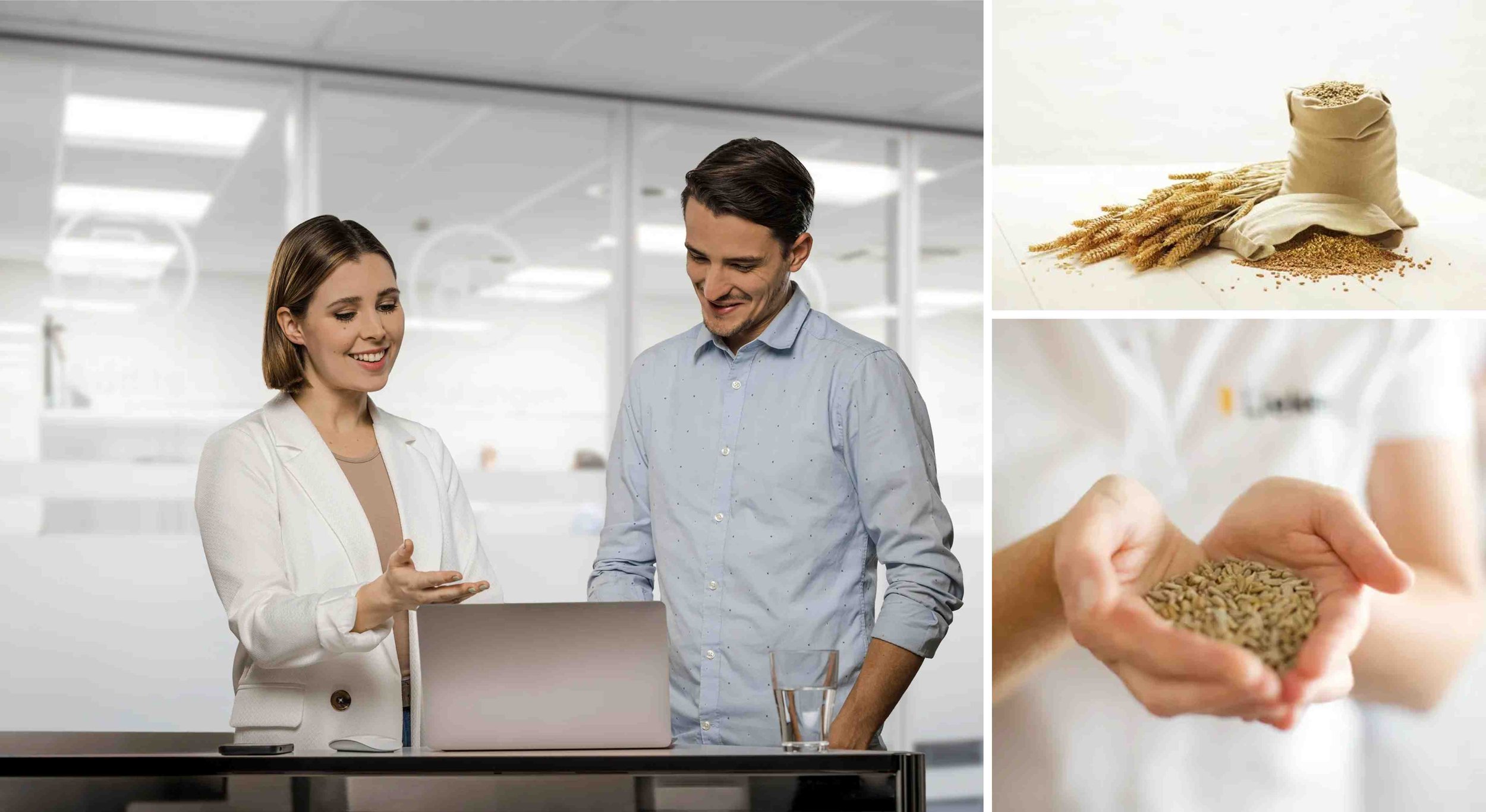Collage der Lieken AG: Links zwei Angestellte vor einem Laptop im Büro. Rechts oben Getreidesäcke und Ähren auf hellem Grund; rechts unten Getreidekörner in zwei schalenförmig gehaltenen Händen.