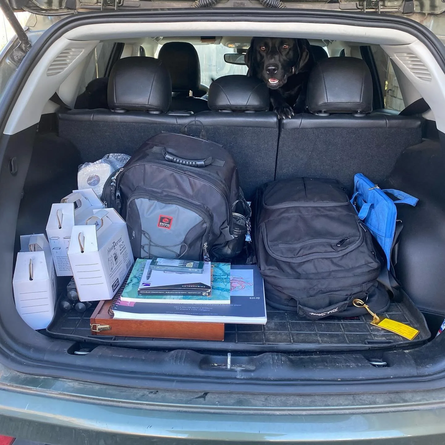 🌄 First Plein Air Adventure of the Year! 🎨
The brushes are packed, the easel’s ready, and the great outdoors is calling! 🌿✨ There’s nothing like stepping out of the studio and diving into the beauty of nature to find inspiration. This