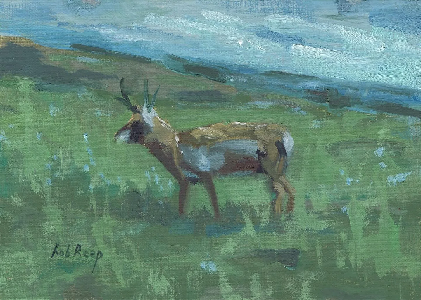 This 5x7 study of a pronghorn is a little piece of Colorado that’s been sitting in my heart since a trip way back in 2011. It came to life sometime over the past year, though honestly, I’ve lost track. 🖌️
To my past collectors and suppo