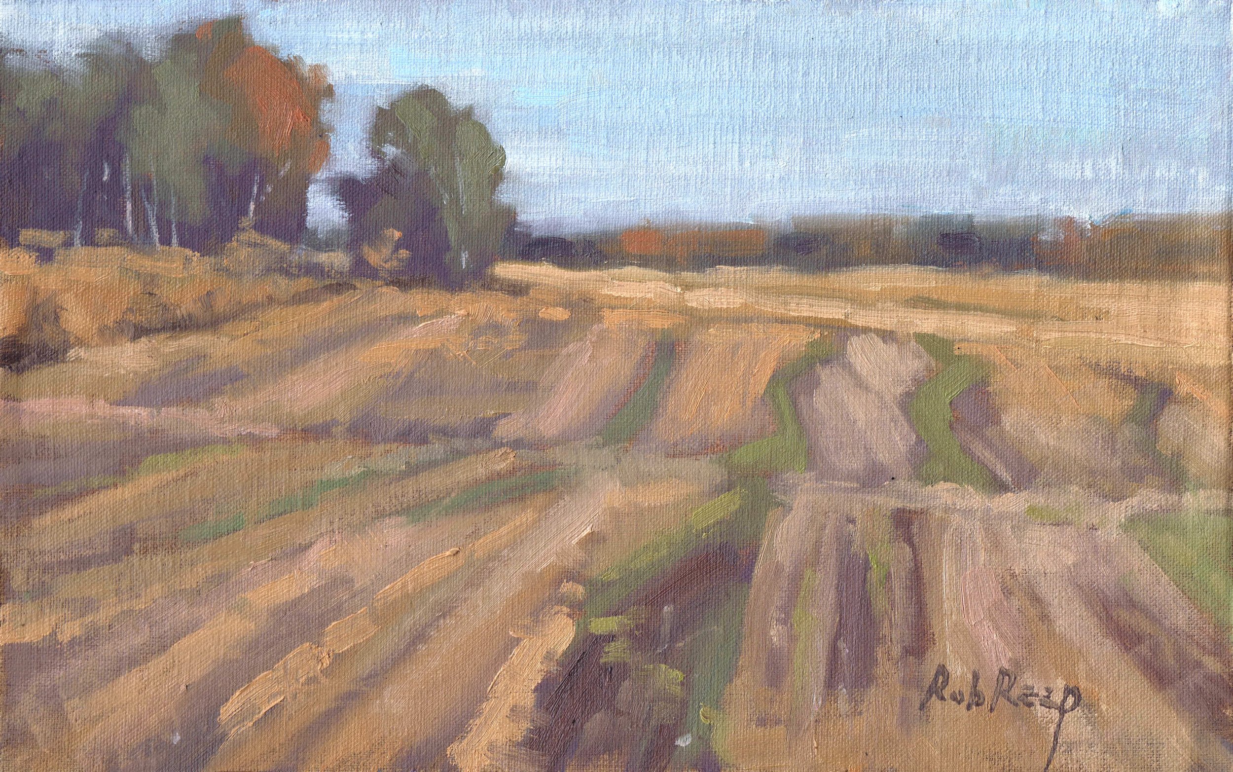 Autumn Furrows (7x11)