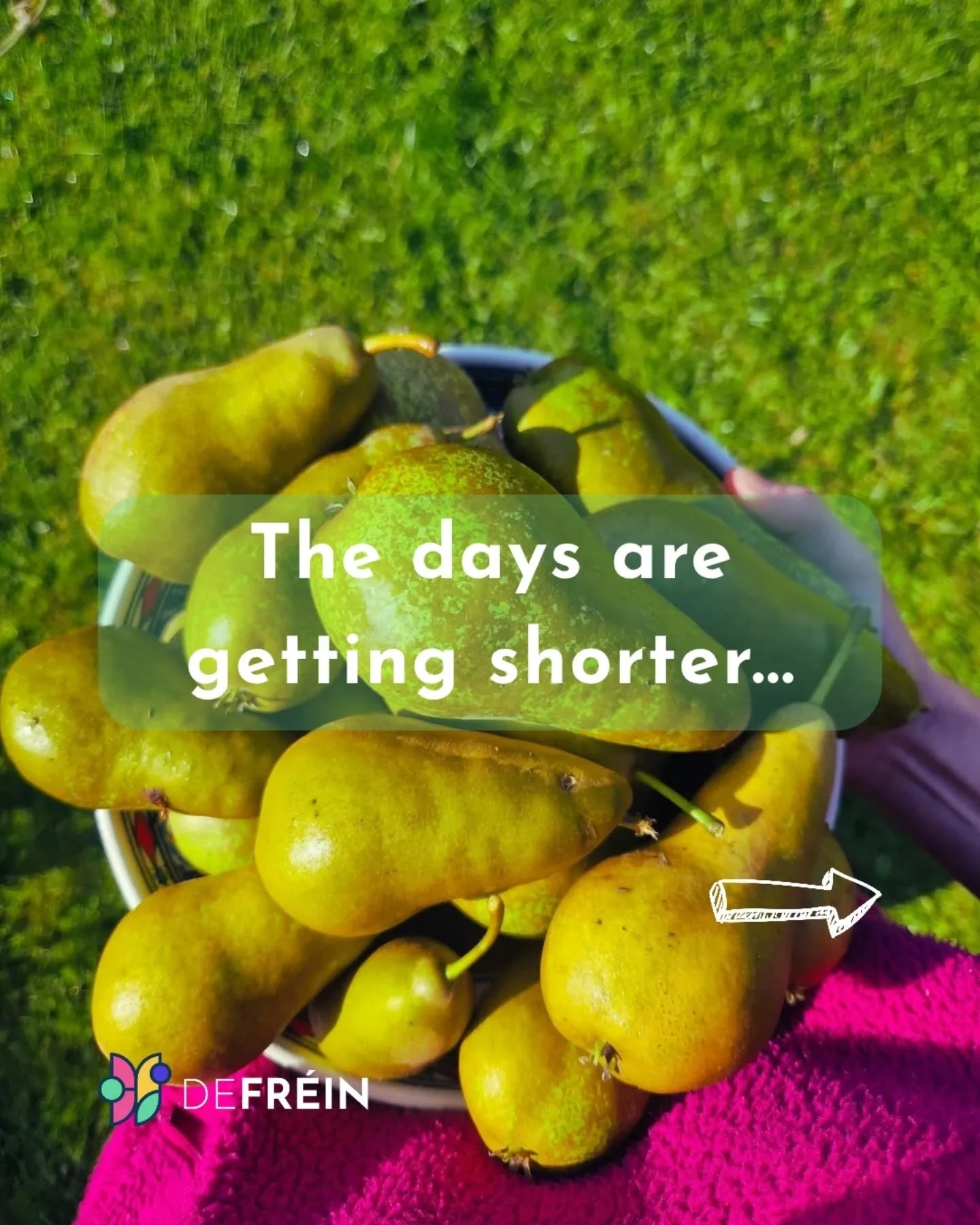 Feeling the dread of the shorter days setting in?? 

Winter doesn't have to be something we get through. 

It's a chance to slow down &amp; luxuriate in a different type of joy that we don't have in the summer months. 

💕 Get intentional about what 