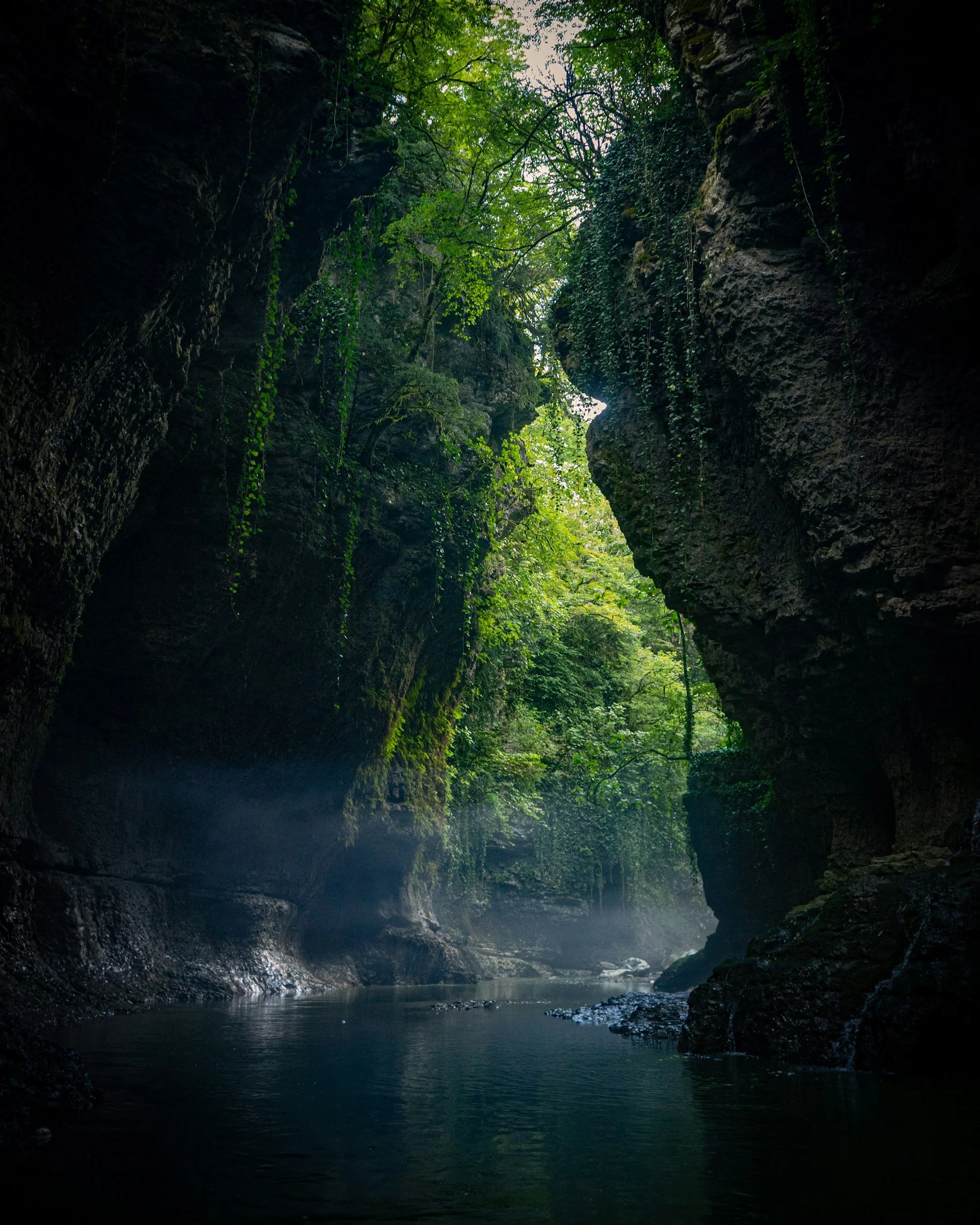 A deep cave with a small pool of water at the bottom, walls covered with moss and vines, and green vegetation visible at the opening of the cave, allowing natural light to enter.