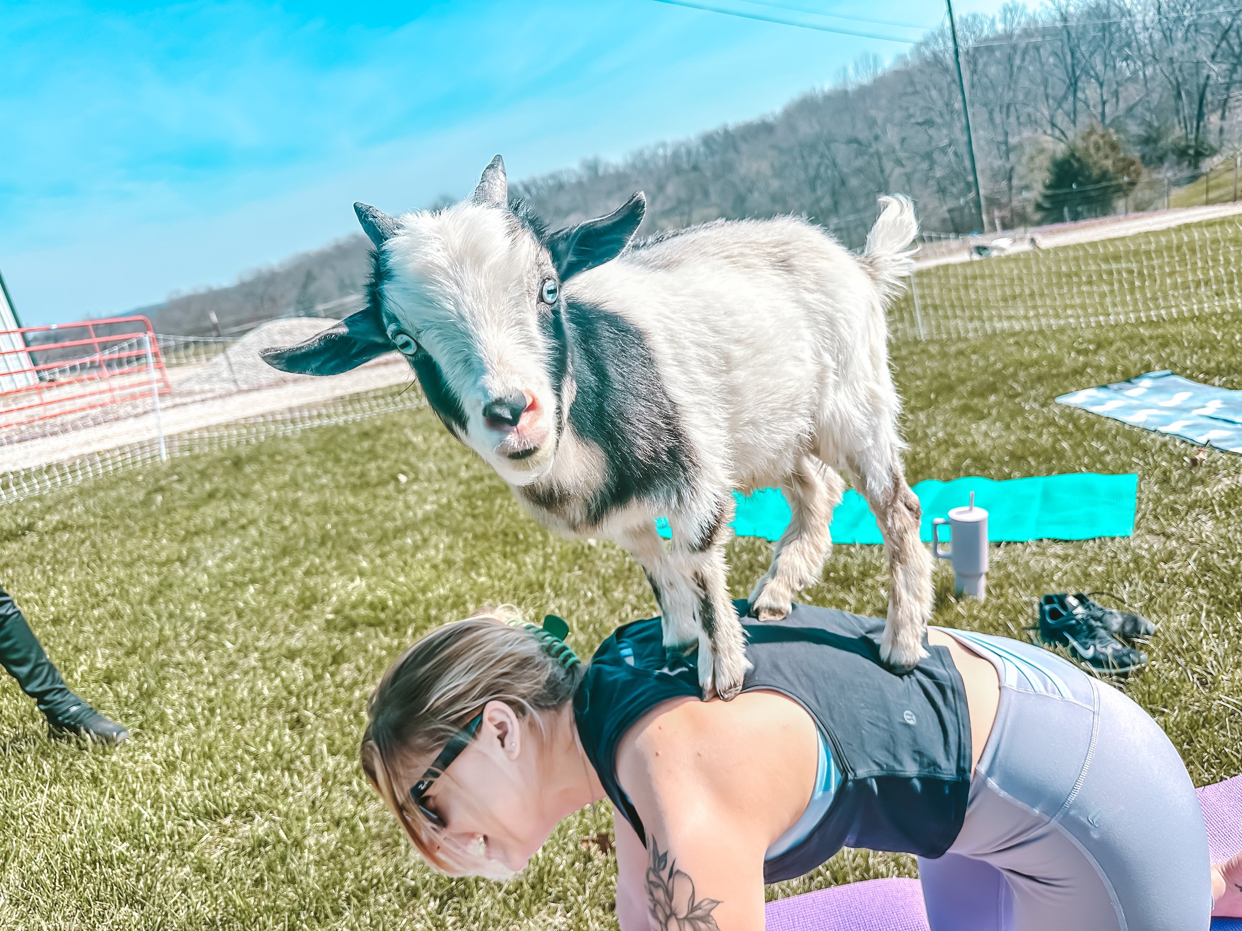 Yoga On The Ranch