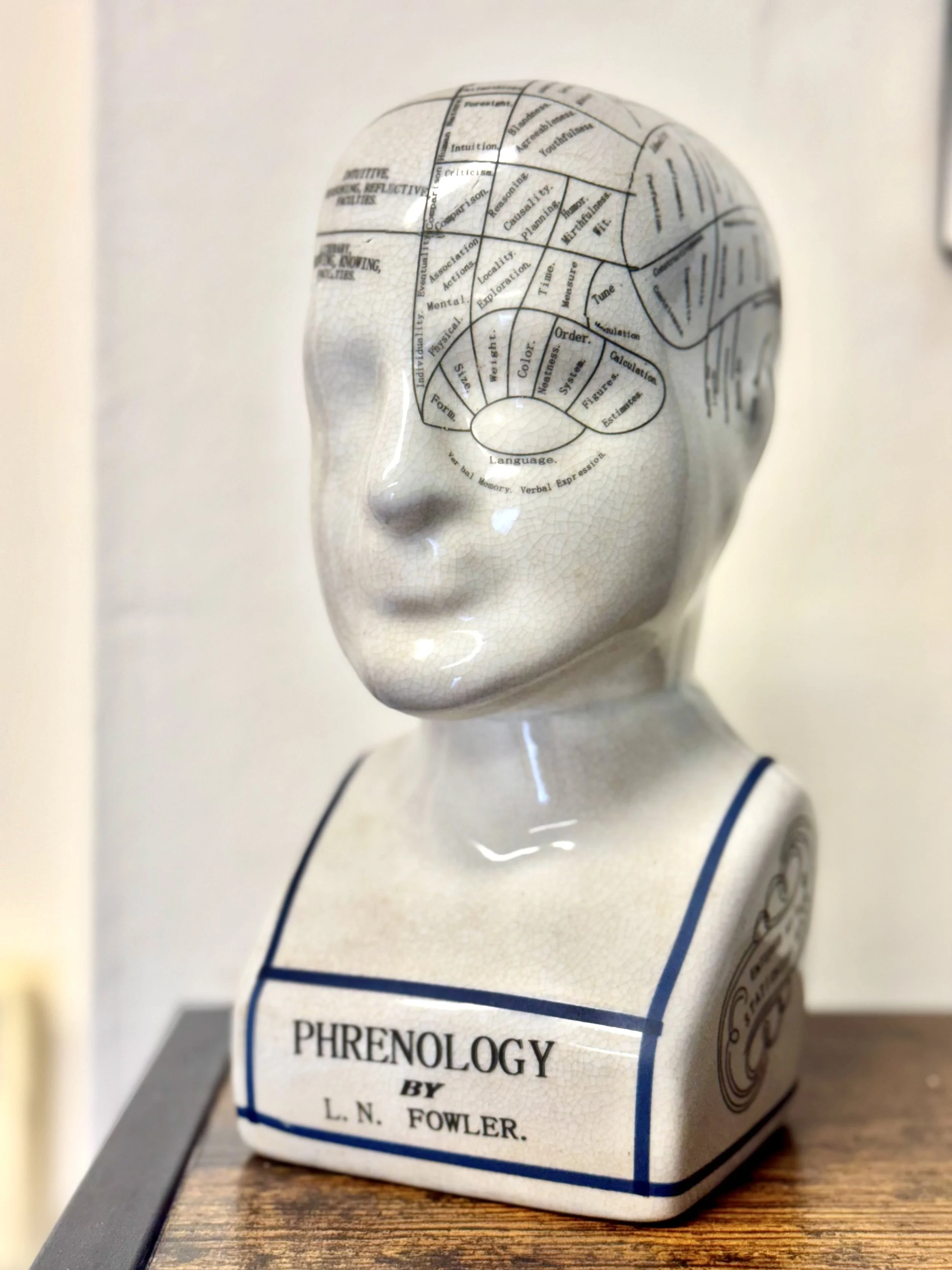 Ceramic bust labeled 'Phrenology by L. N. Fowler' with a diagram of the human head and brain regions on its forehead.