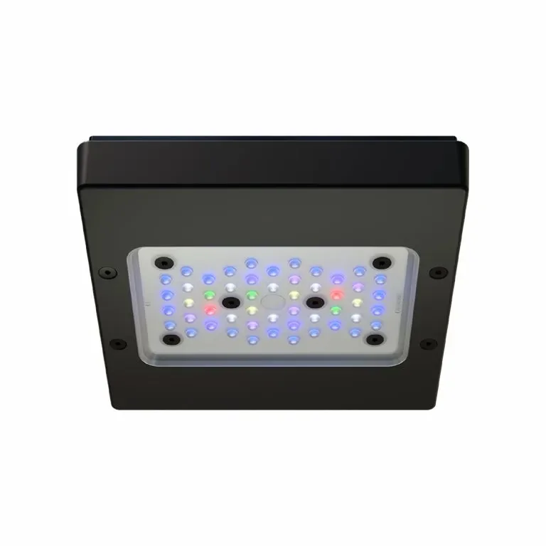 g6_pro_15_02.webp