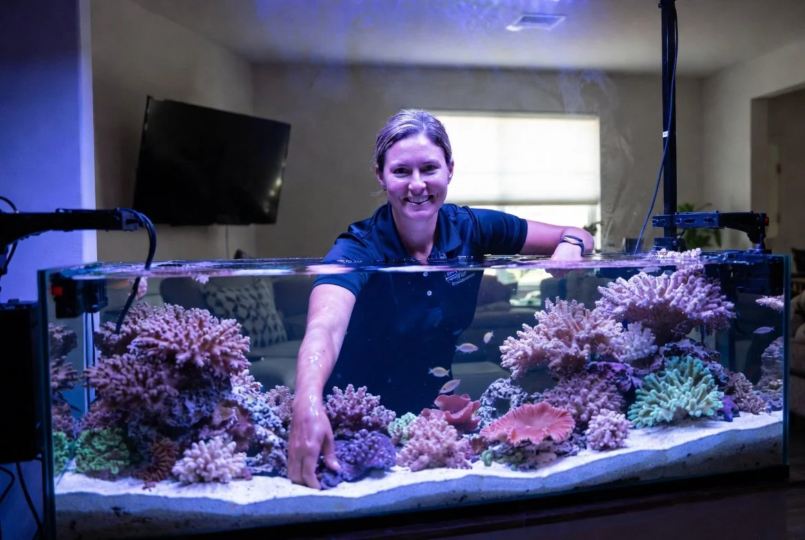 A woman in a navy polo shirt stands behind a saltwater aquarium filled with colorful coral and small fish, cleaning aquarium.