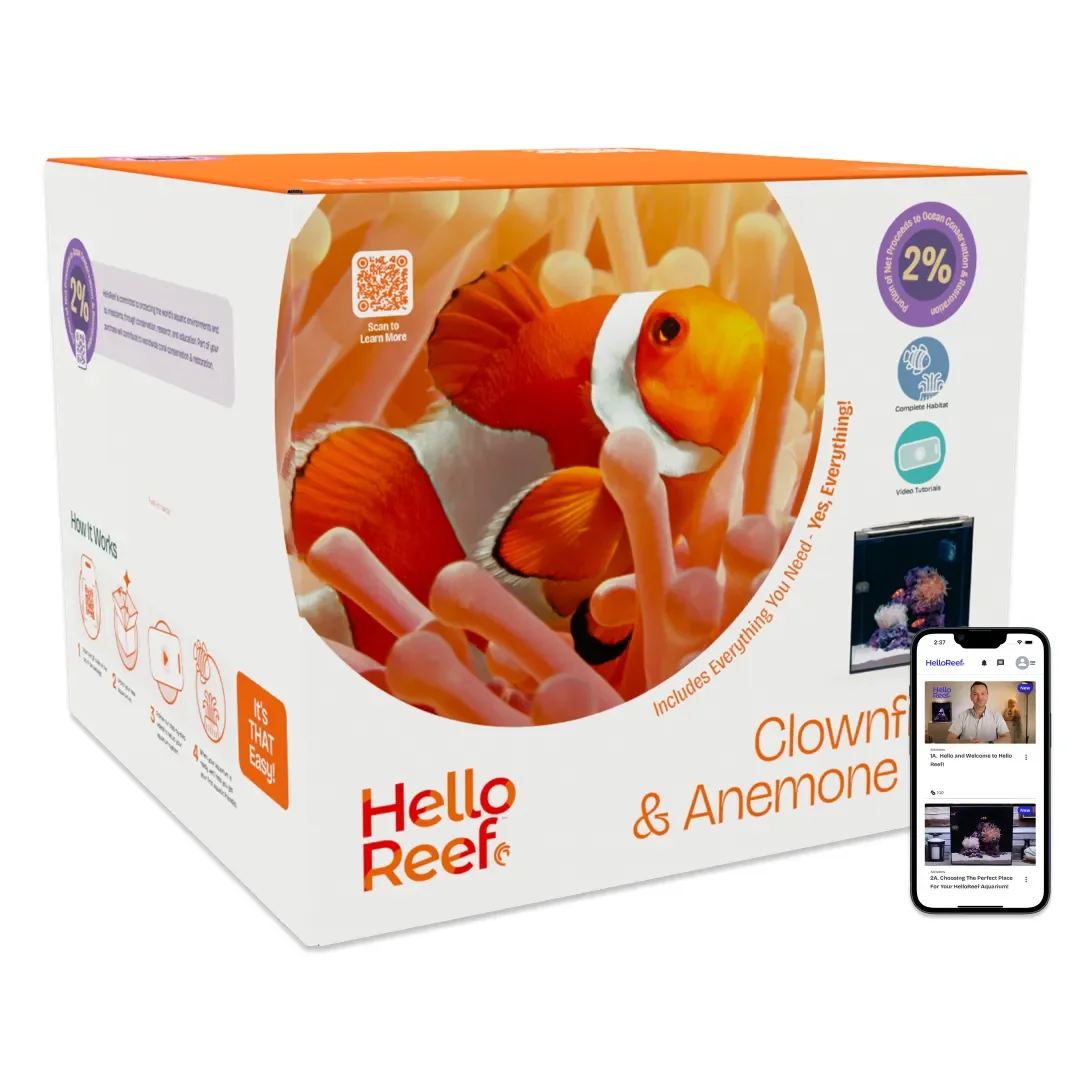 helloreef-wh-1200x1200.webp