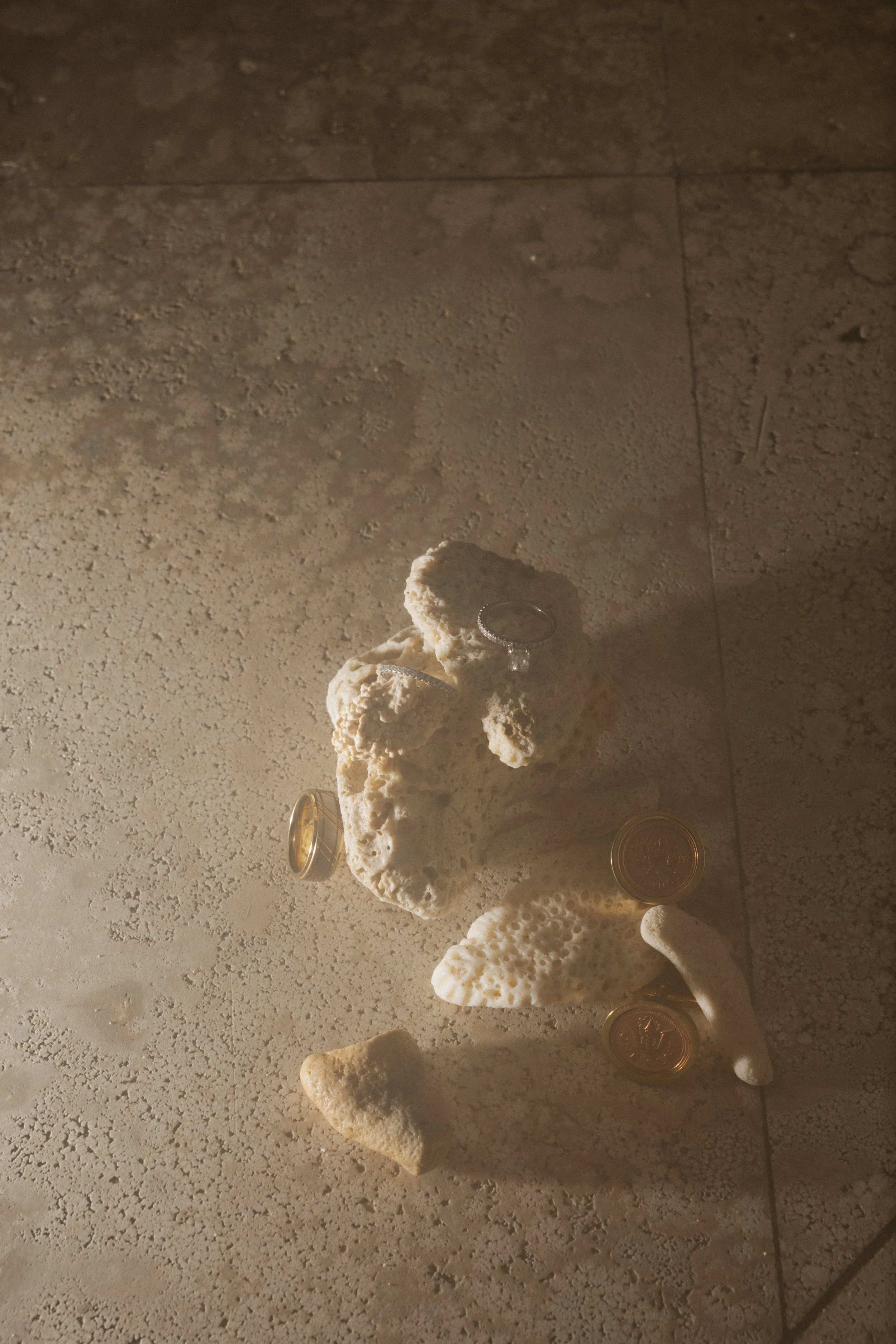 Various white coral and shell pieces along with several coins on a textured beige surface.