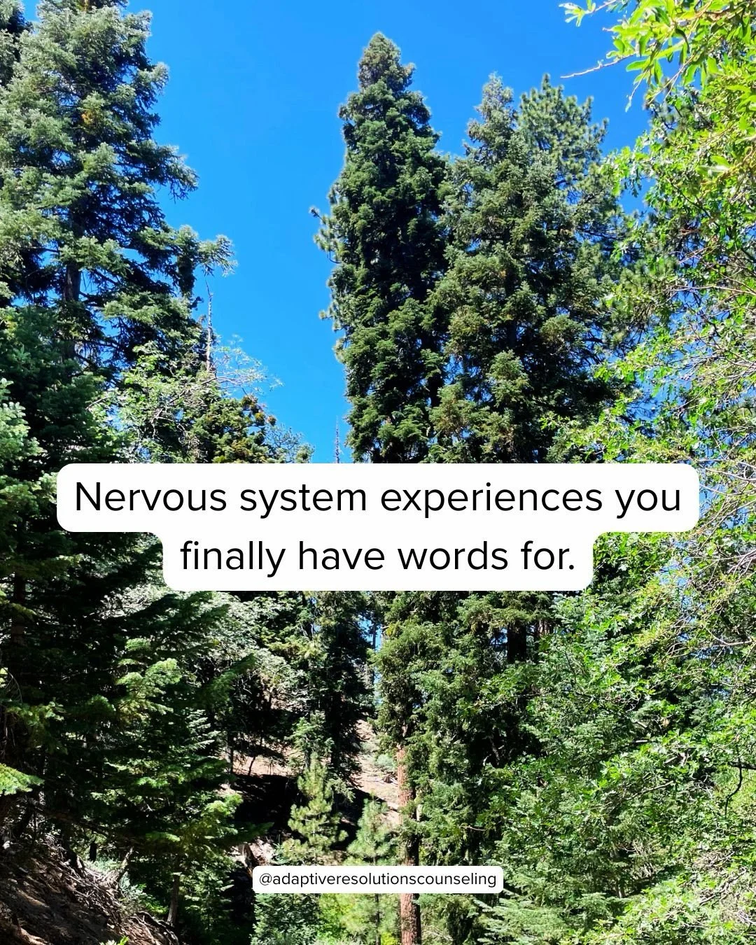 One of the things I love most about my work is helping people find language for experiences they&rsquo;ve carried for years without knowing how to describe.

Having words doesn&rsquo;t change your nervous system overnight.

But it can change the way 