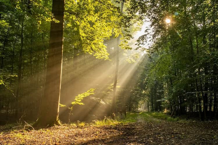 7 Signs Your Nervous System Is Beginning to Shift