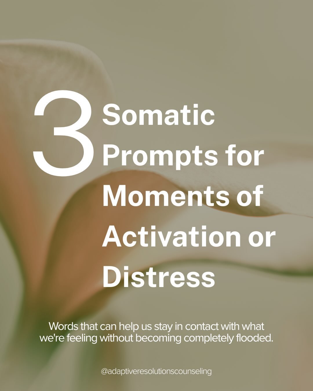 Something I&rsquo;ve incorporated into my somatic work, both personally and with clients, is using simple statements while working directly with activation or distress.

These aren&rsquo;t positive affirmations meant to convince us to feel differentl