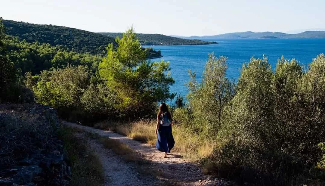 Person walking along a coastal trail, symbolizing the gradual journey of nervous system healing and coming back to a sense of safety.