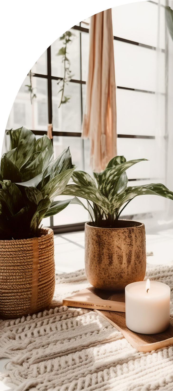 Calming therapy office decor with indoor plant and natural textures