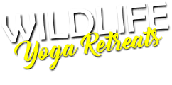 Wildlife Yoga Retreats