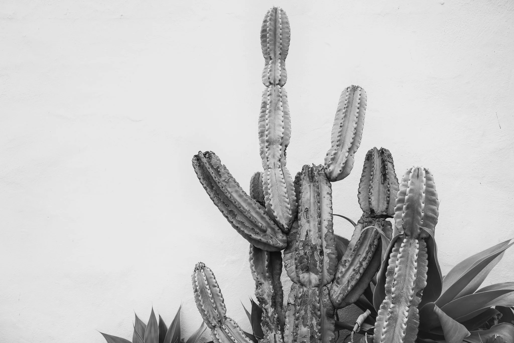 Mission One  |  sizes LG: 28" x 18.7"  •  SM: 14" x  9.3"