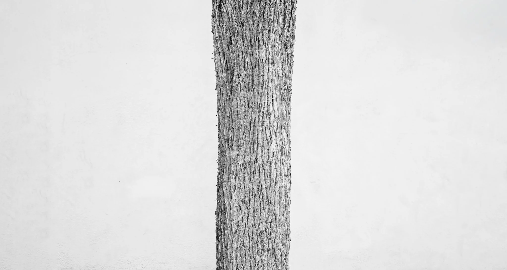 Wooden Post  |  sizes LG: 28" x 15"  •  SM: 15" x  8"