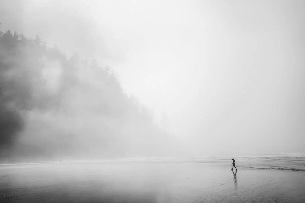 A Walk in a Wild Place  |  sizes LG: 28" x 18.7"  •  SM: 14" x  9.3"