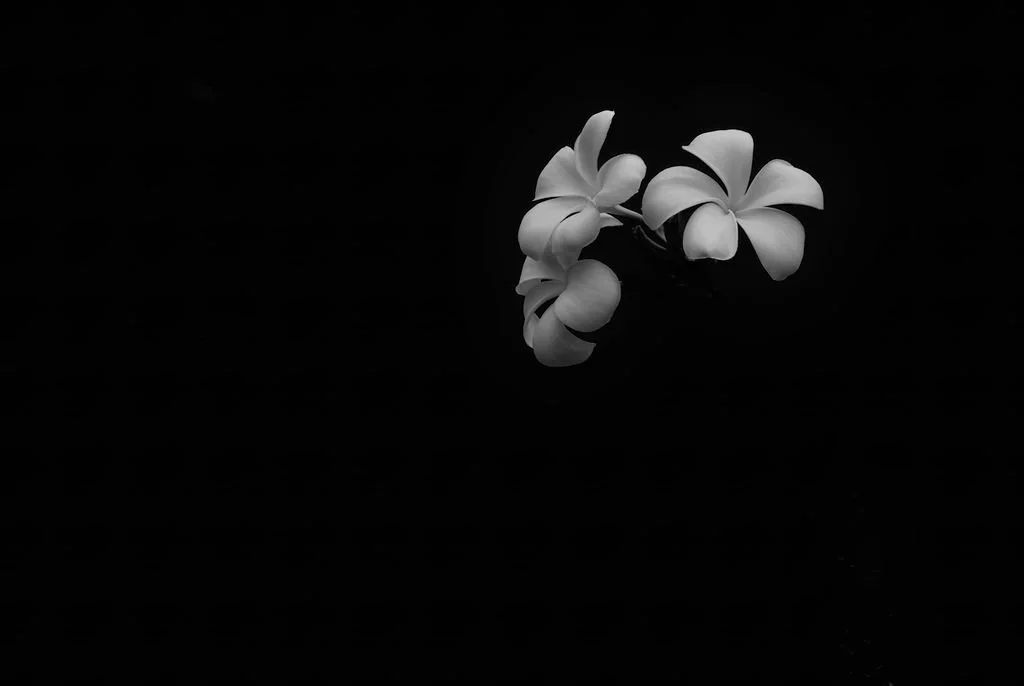 BALI: A Mystic Trinity  |  sizes LG: 20" x 30"  •  SM: 10" x  15"