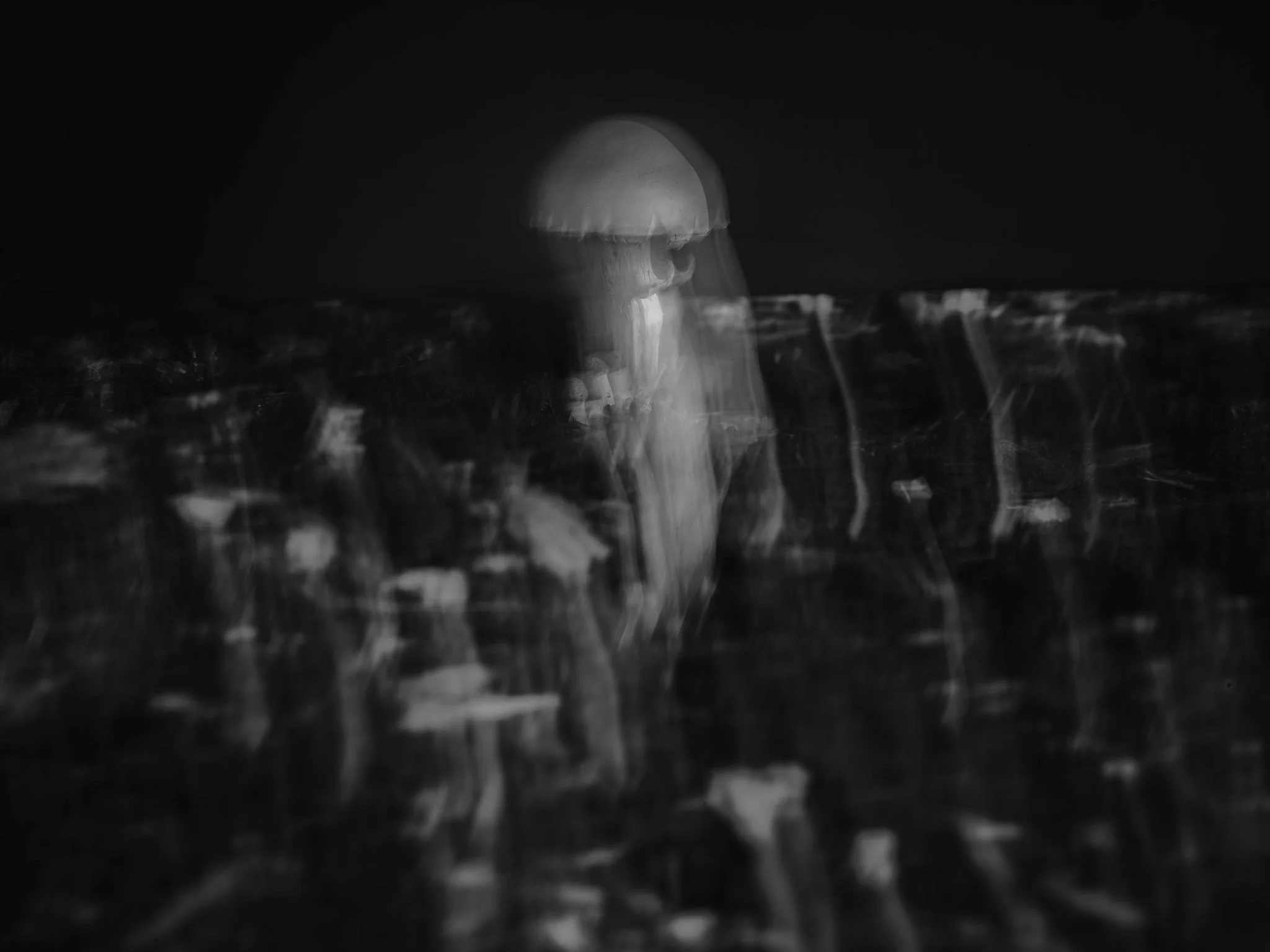 Plate #251723  |  sizes LG: 28.1" x 21"  •  SM: 13" x  9.7"