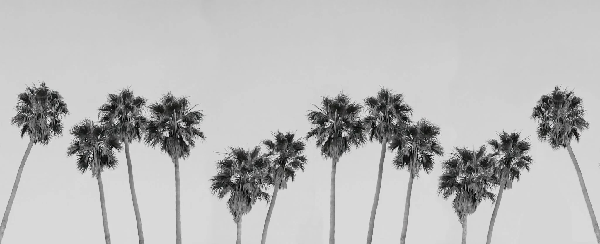 Coastal Songlines  |  sizes LG: 42" x 17.1"  •  SM: 28" x  11.4"