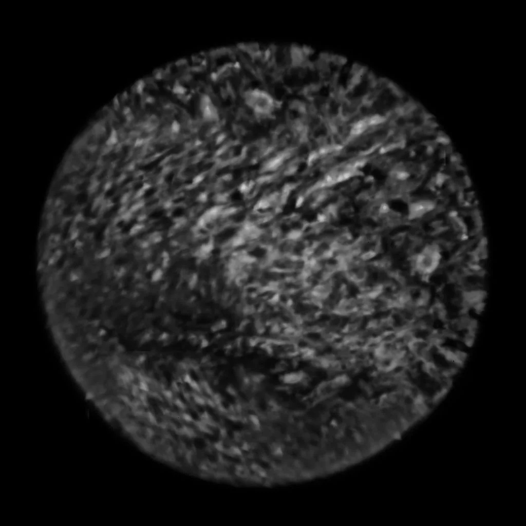 Ganymede |  sizes LG: 30" x 30"  •  MD: 15" x 15"
