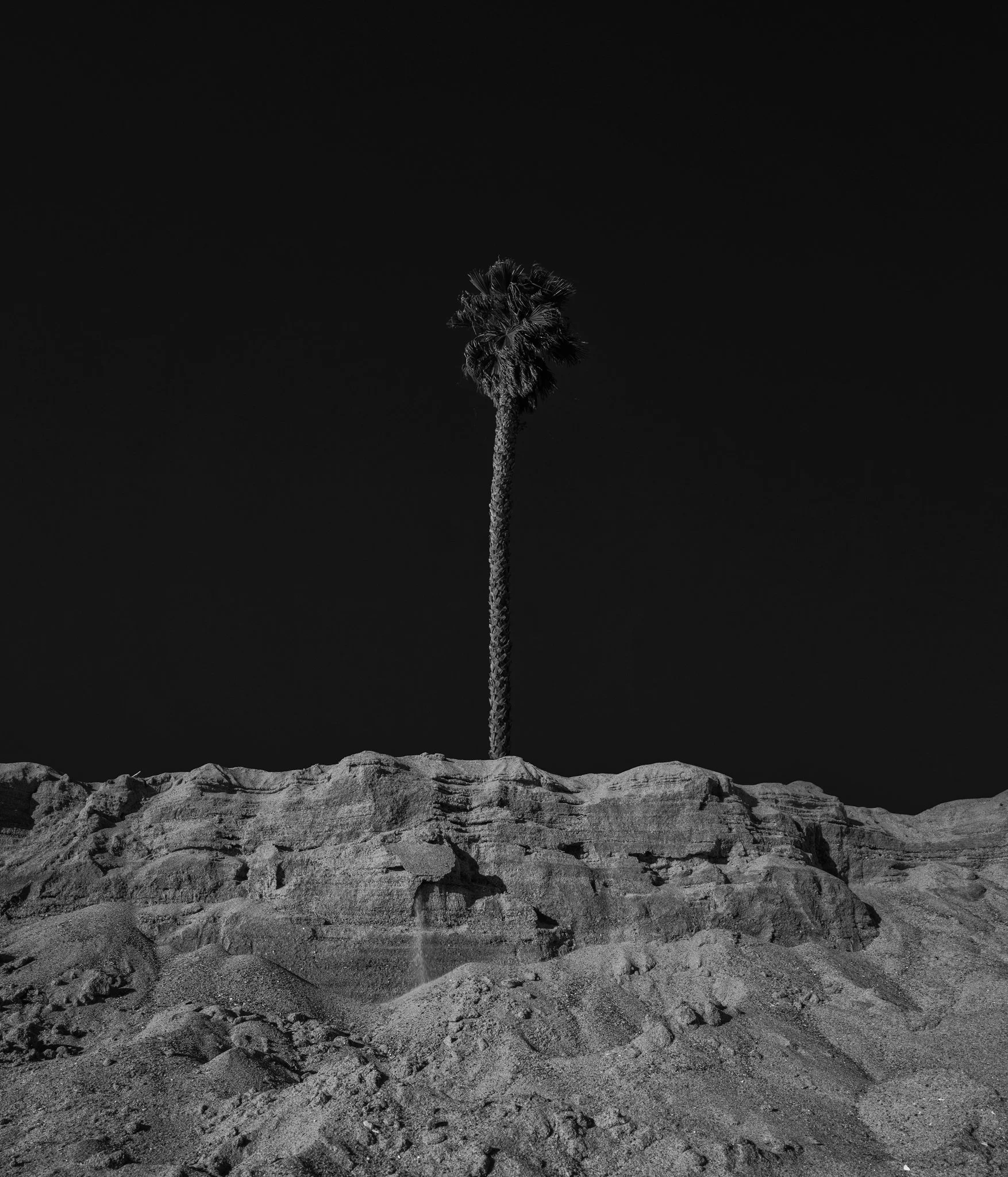 Sand, Wood, Leaves, Wind  |  sizes LG: 24" x 28"  •  SM: 12" x  14"