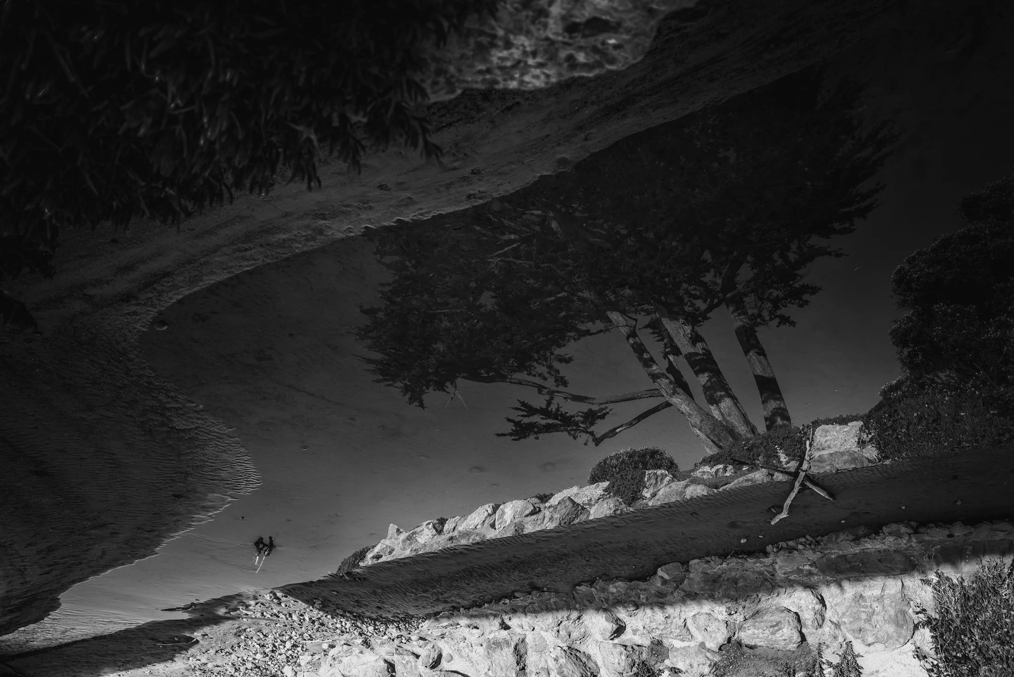 Where the Children Went |  sizes LG: 28" x 18.7"  •  SM: 14" x  9.3"